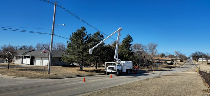 Bucket-truck tree takedown