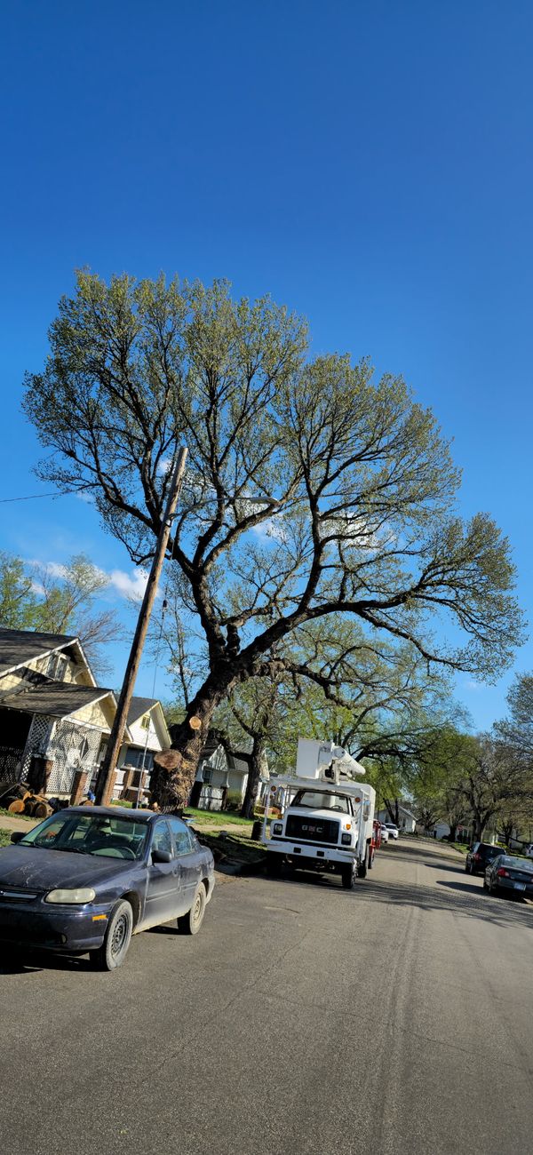 Tight-spot tree removal