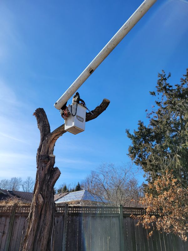 Chipping branches on-site