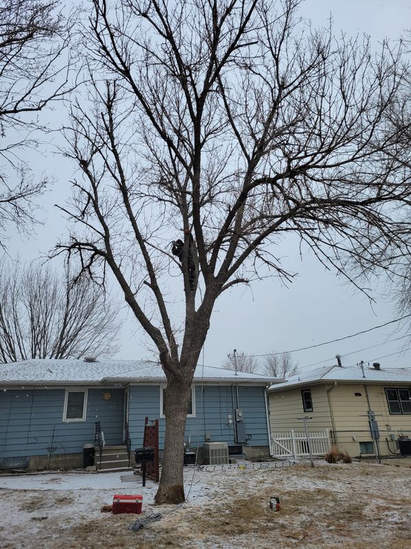 Storm damage cleanup