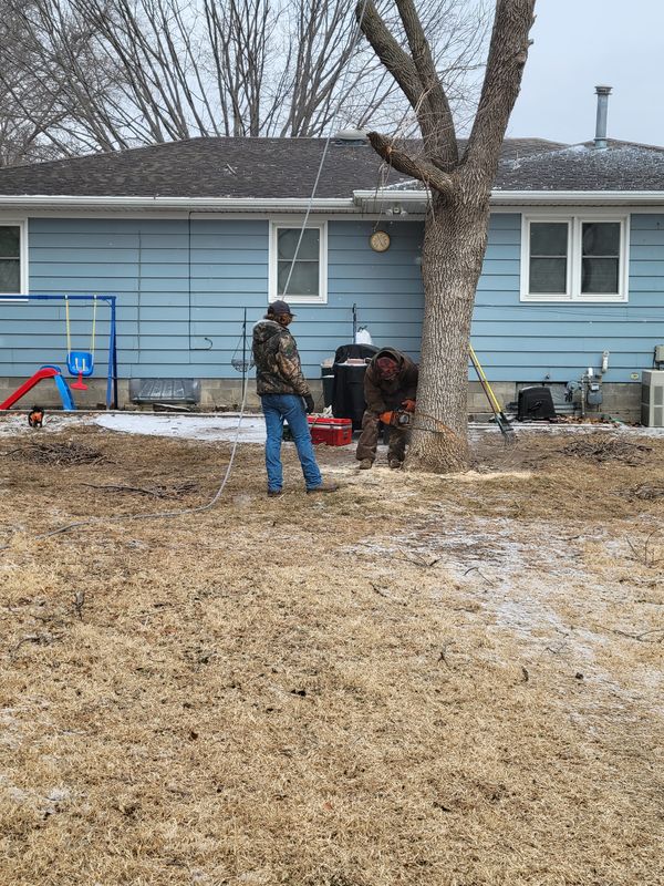 Fence-line clearing