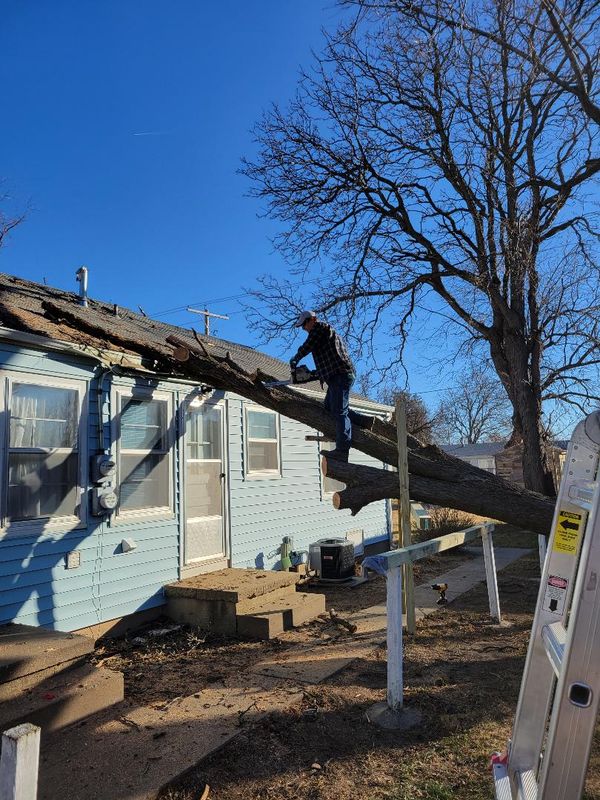 Mid-removal cut