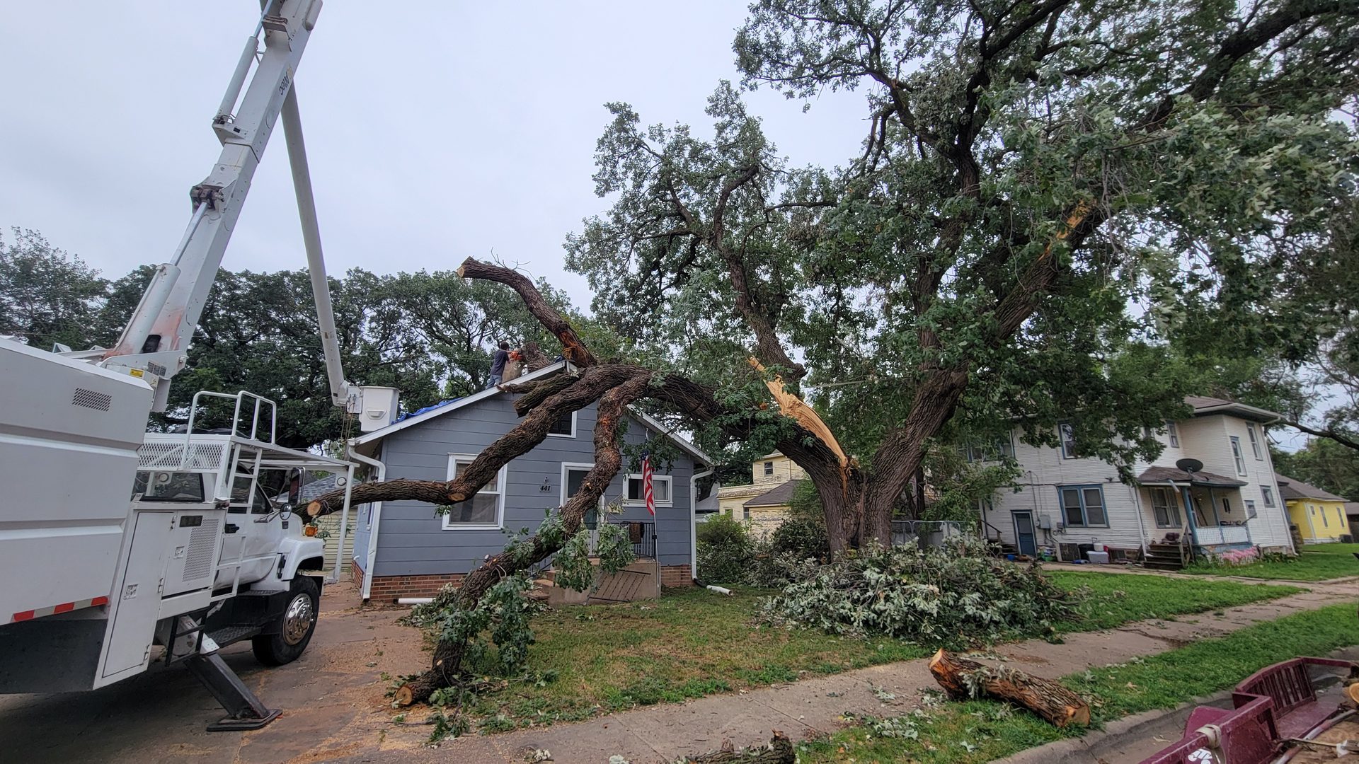 Chris's Tree Service crew removing a large tree in Salina, Kansas